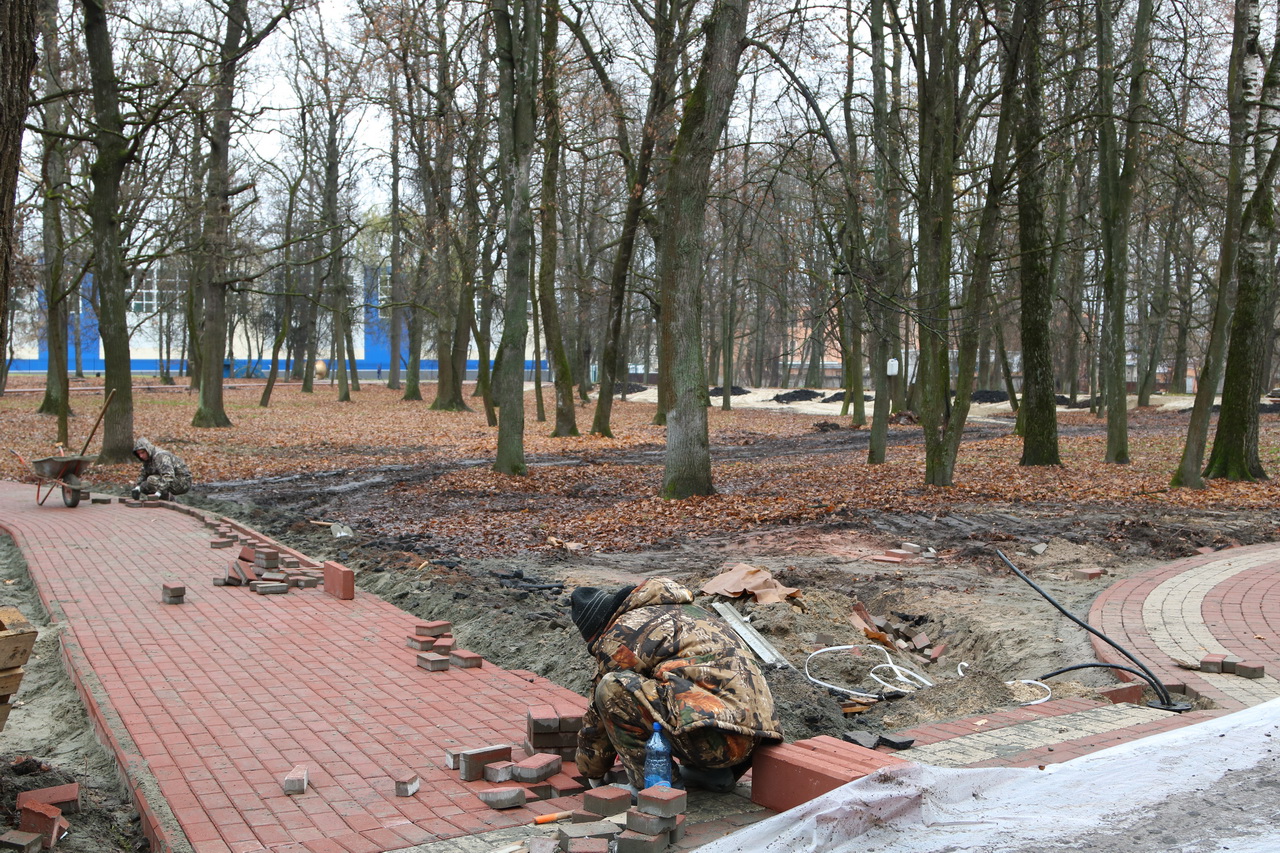 Ремонт парков. Пушкинский парк Брянск. Ремонт парка. Ремонт в парке. Пушкинский парк Брянск до реставрации.