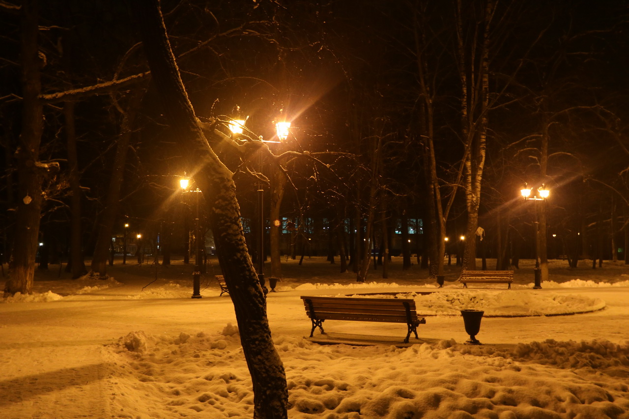 майский парк брянск старые