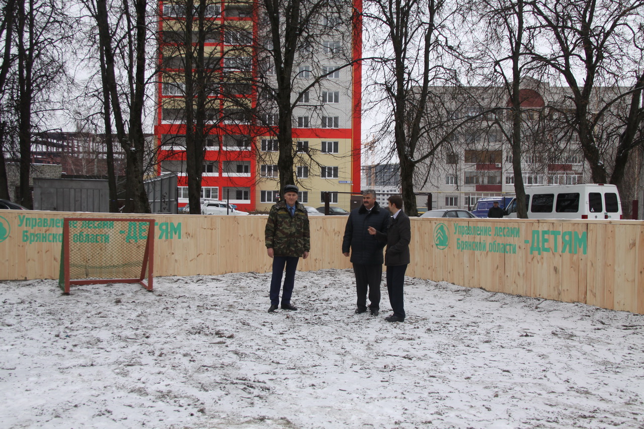 Накануне Нового года жители Вятчино создали свой зимний городок во дворе | Истории | tulparkazan.ru