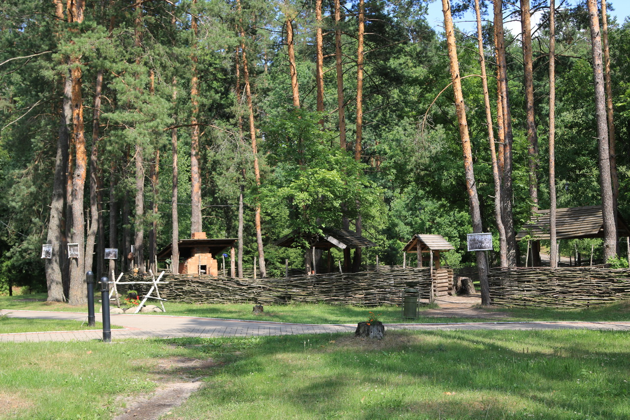 партизанская поляна брянск фото