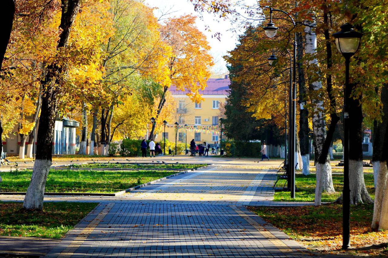 фото фокинского района брянска