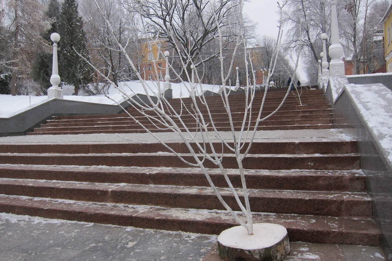 Секс Шоп На Набережной Брянск