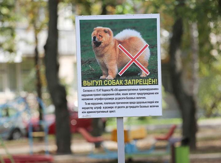 Объявление о запрете выгула собак на придомовой территории образец