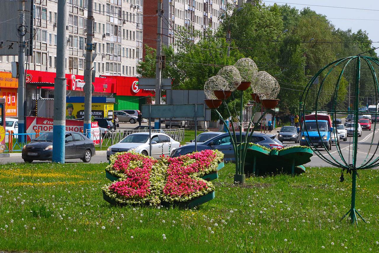 Цветы брянск. Цветочный Брянск Фокинский район. Цветочный 1 Брянск Фокинский район. Город цветов Брянск. Растения Брянска.