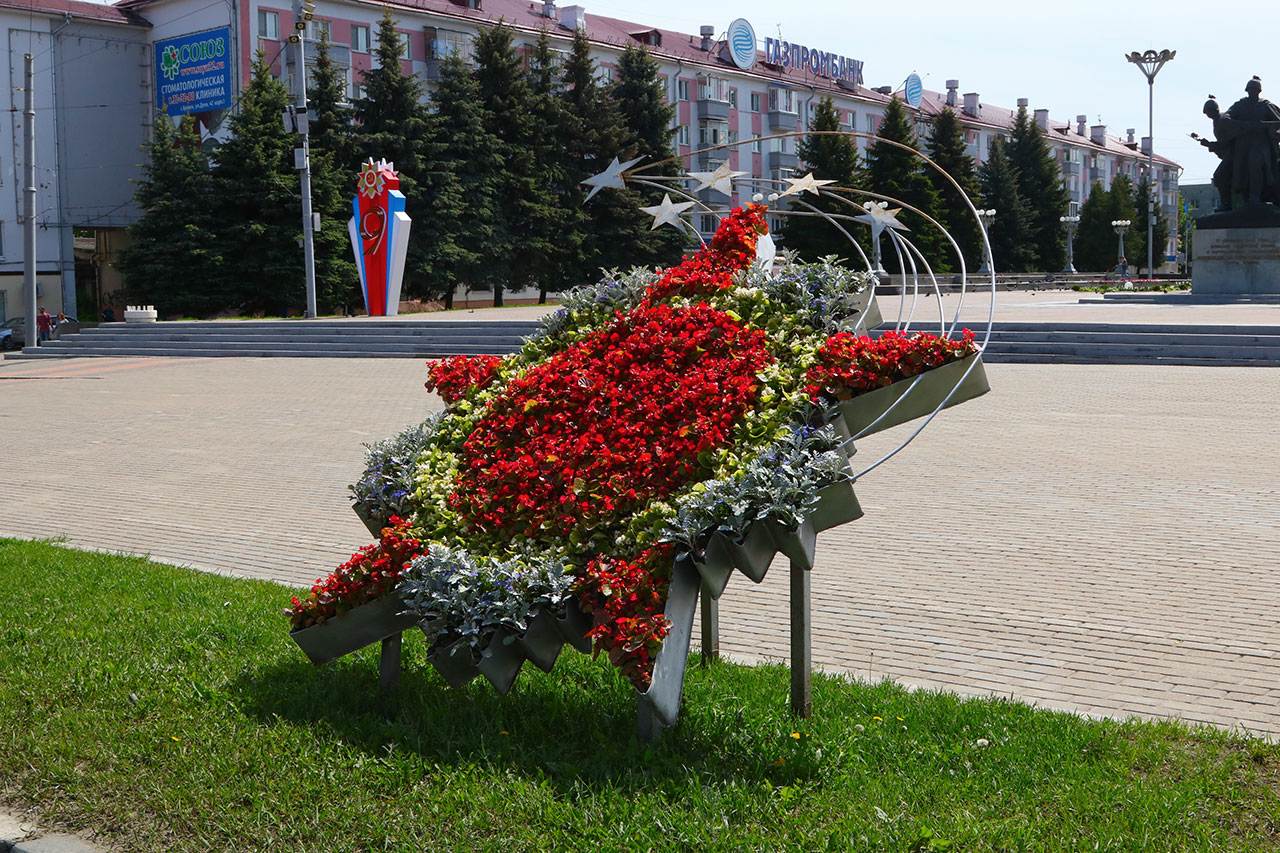 Брянск недорого. Клумбы Брянска. Город цветов Брянск. Цветники в Брянске. Растения Брянска.