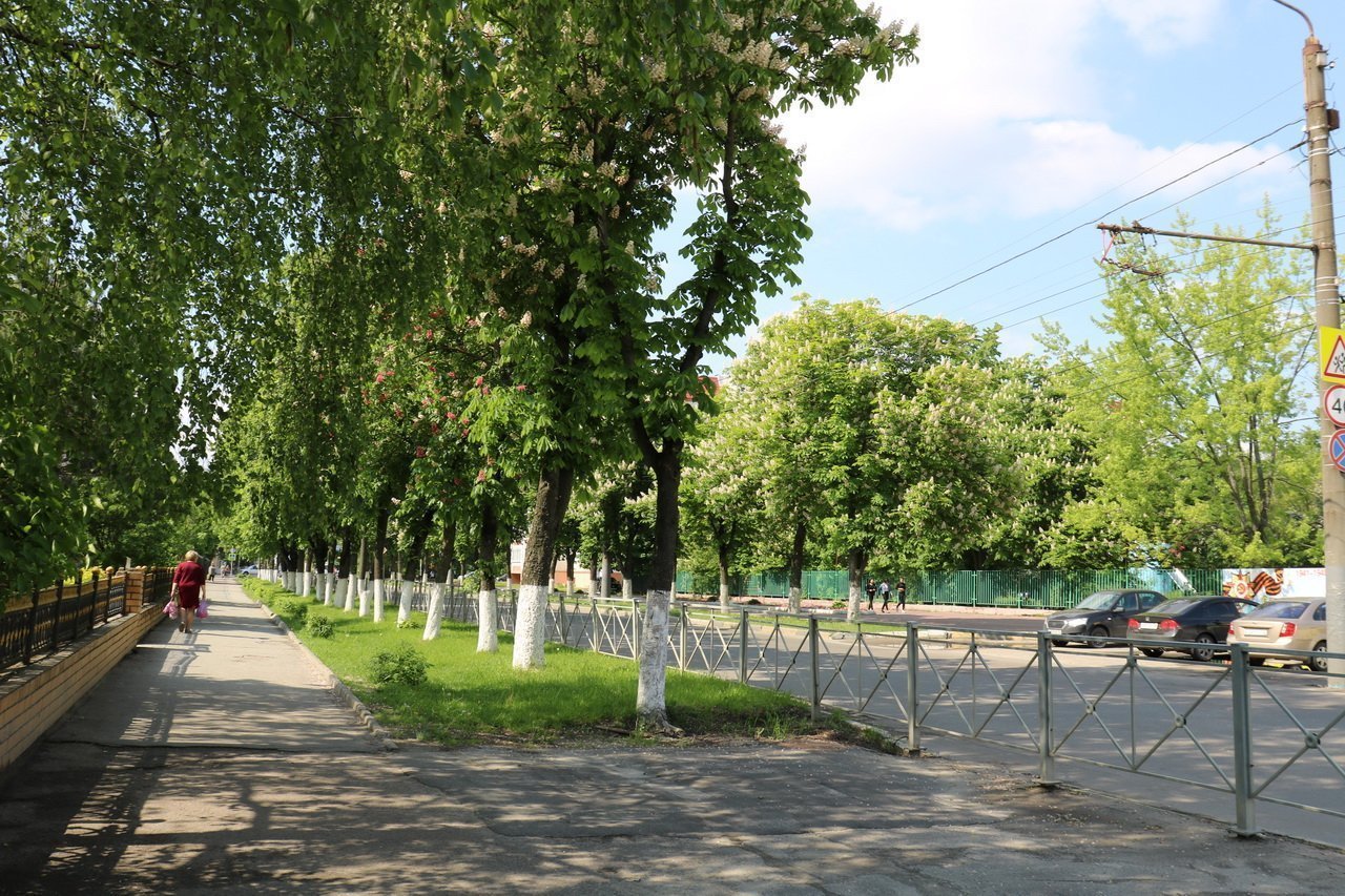 Дубровский водоканал. Улица Димитрова Брянск Володарский район. Улица Пушкина Брянск Володарский район. Володарский парк. Зеленые зоны Брянска.