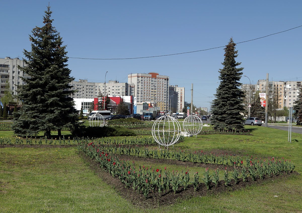 Брянск ру. Тюльпанчик Брянск. Тюльпан 32 Брянск. Сад Тюльпанчик Брянск фото. Брянская 32с6 фото.