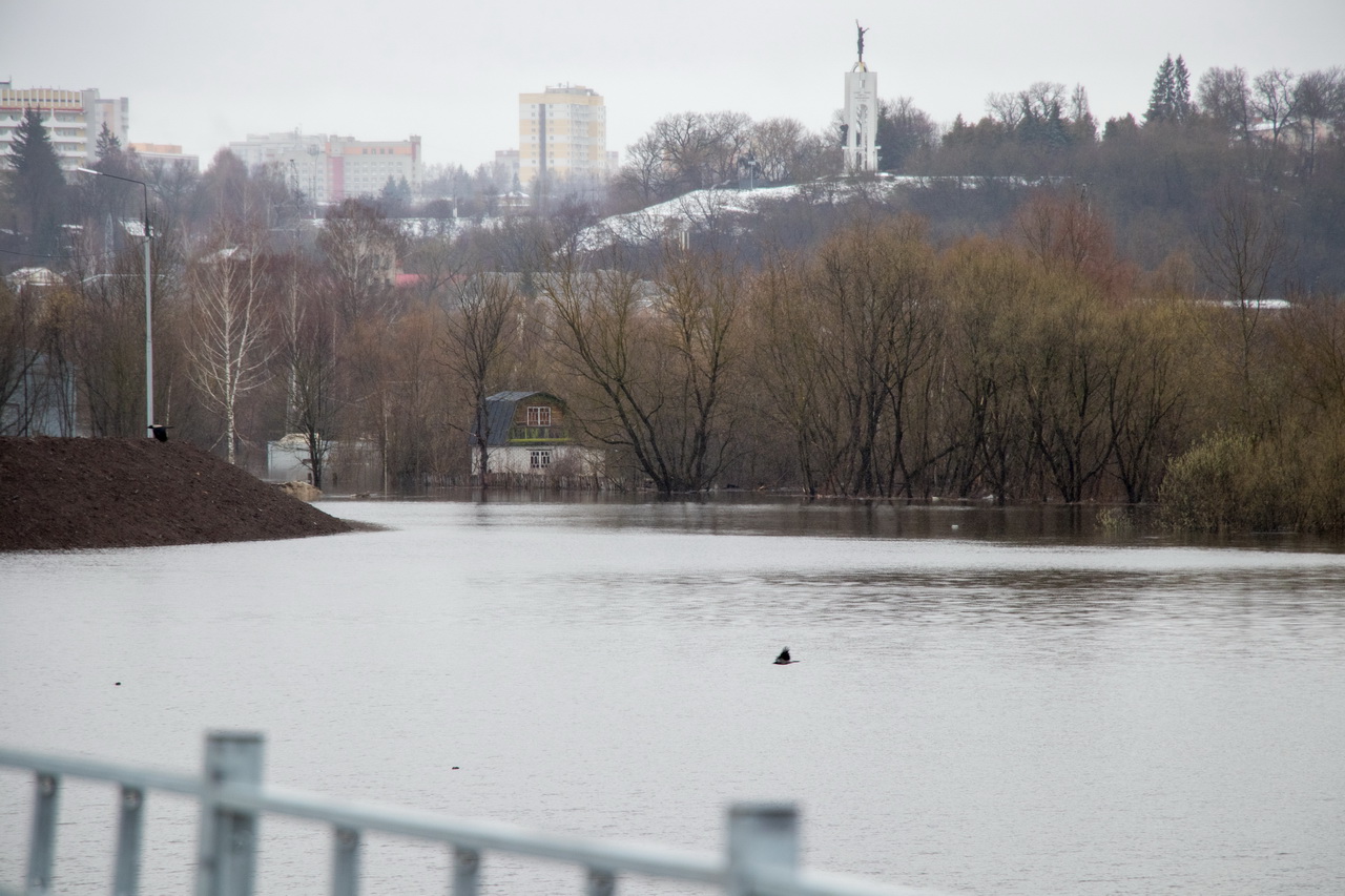 Брянск наводнение 2022