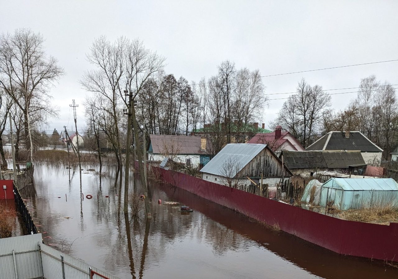 по реке болва