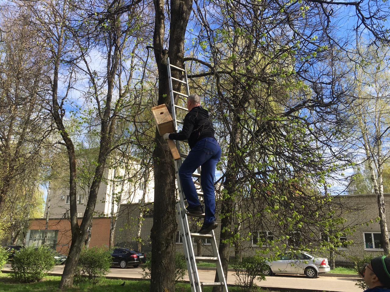 22 апреля в Брянске прошёл второй общегородской субботник | 22.04.2023 |  Брянск - БезФормата