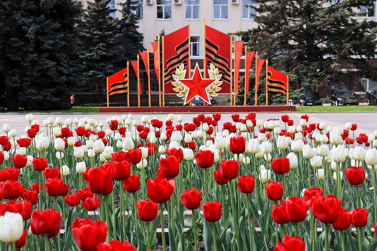 На улицах Брянска распустились 100 тысяч тюльпанов | 11.05.2023 | Брянск -  БезФормата