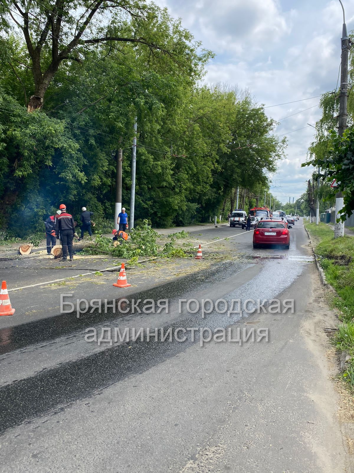 Дерево с дороги на Калинина убрали | 14.06.2023 | Брянск - БезФормата