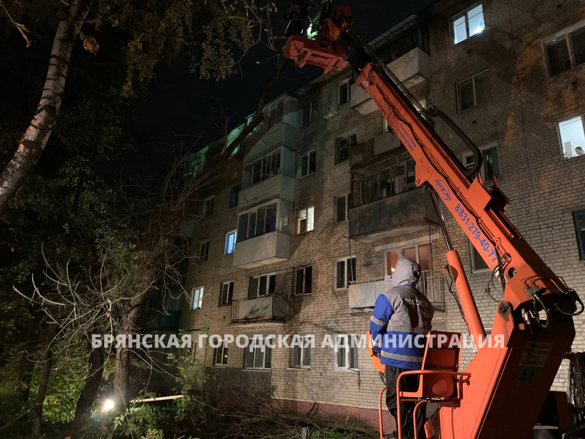 Городские спасатели убрали ветку, упавшую на дом — Брянская городская  администрация