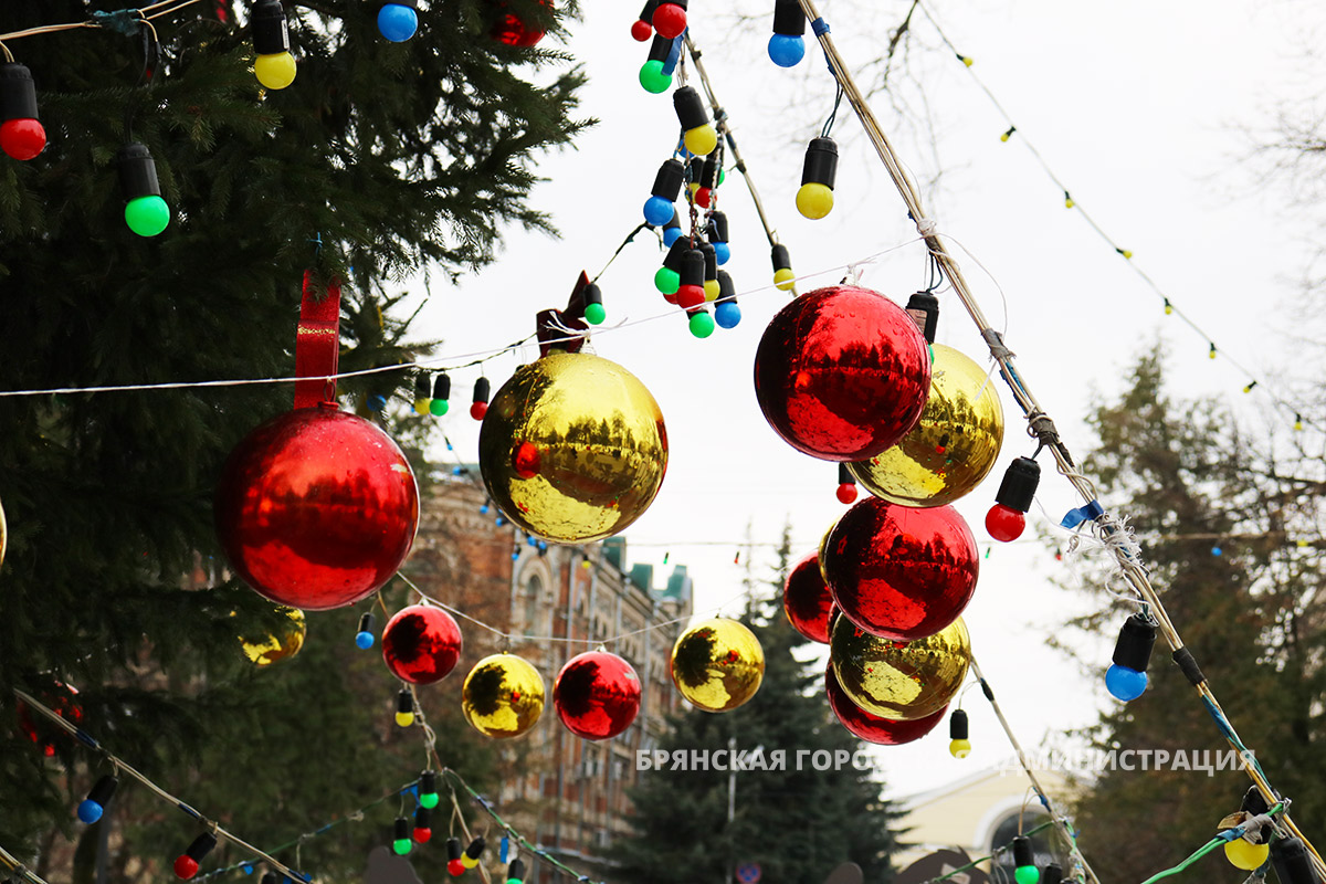 В Брянске открылась главная городская елка | 22.12.2023 | Брянск -  БезФормата