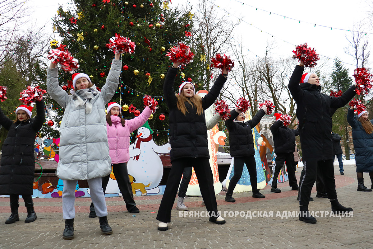 В Брянске открылась главная городская ёлка | 25.12.2023 | Брянск -  БезФормата