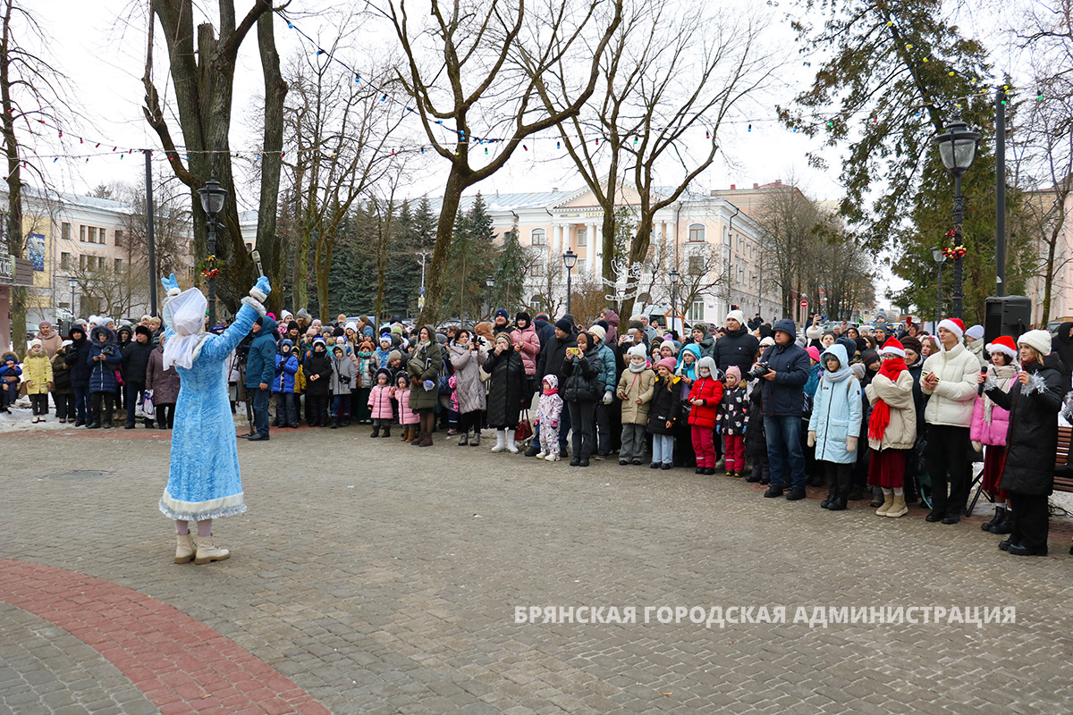 В Брянске открылась главная городская ёлка - Брянская городская  администрация