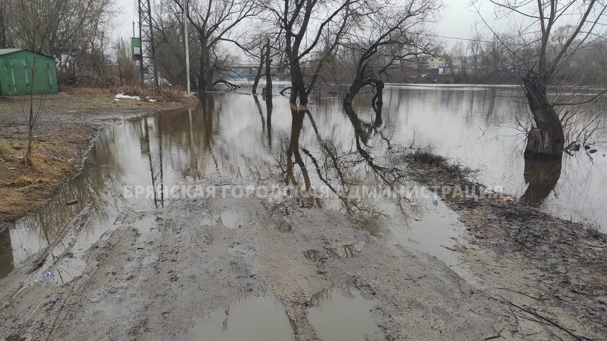 Брянск готов встретить «большую» воду | 29.03.2024 | Брянск - БезФормата