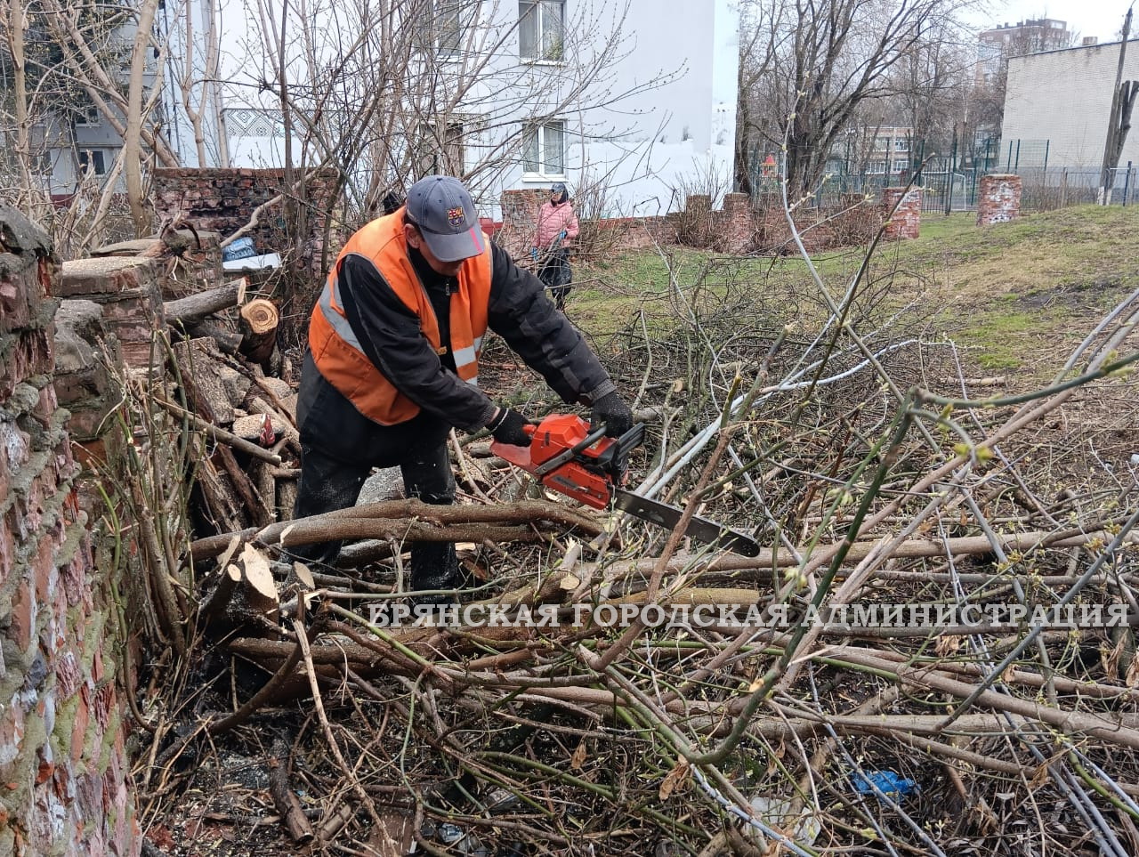 В Брянске прошёл первый общегородской субботник | 06.04.2024 | Брянск -  БезФормата